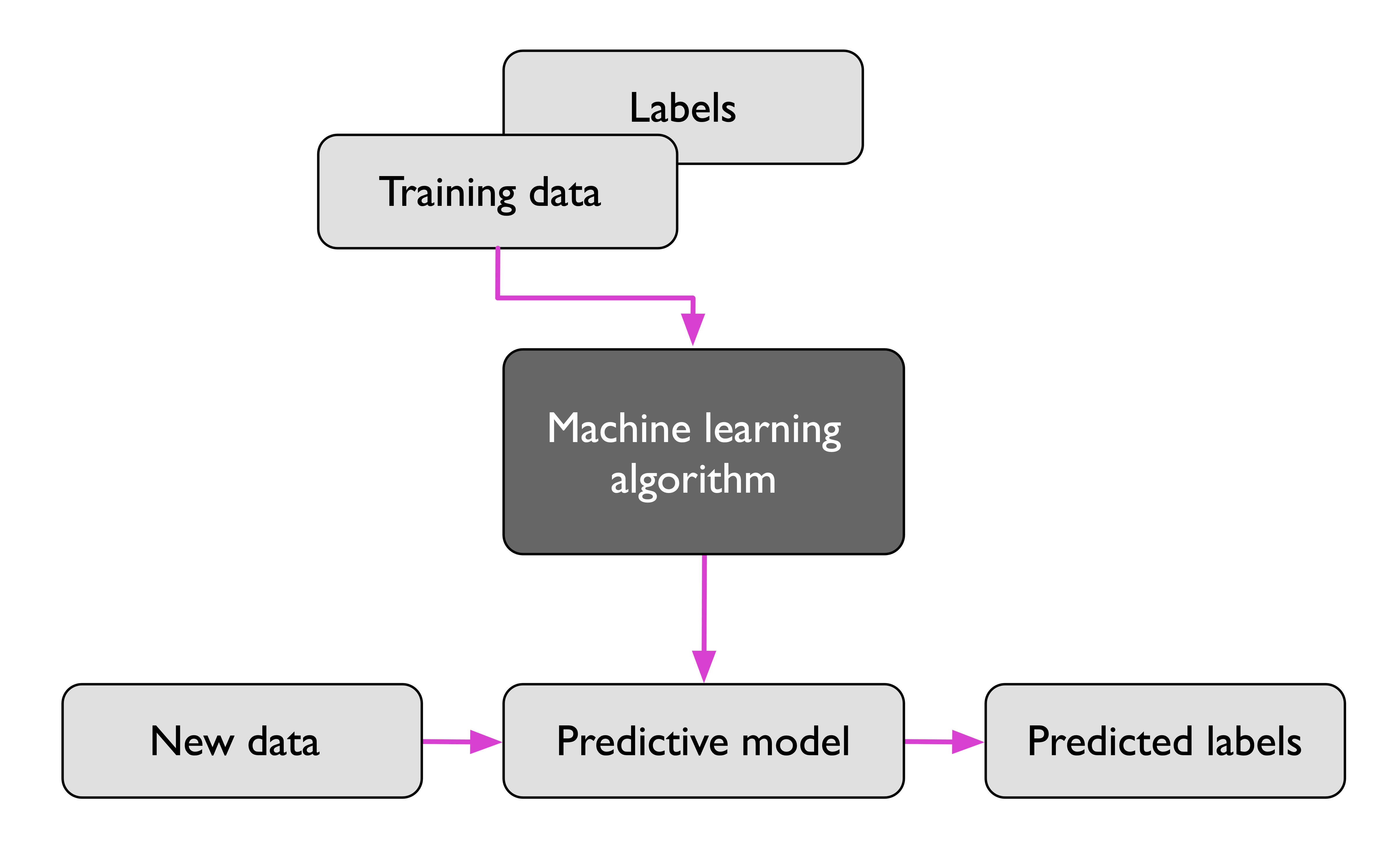 image-20240412113818576